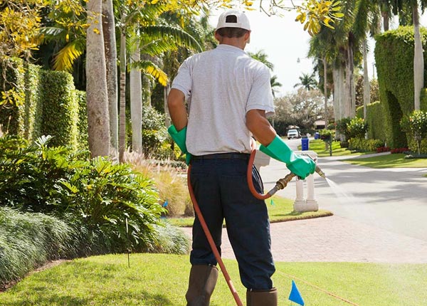 About Mentone CA Pest Control Pros